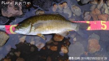 ¥¹¥â¡¼¥ë¥Þ¥¦¥¹¥Ð¥¹