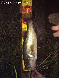 ¥Ö¥é¥Ã¥¯¥Ð¥¹