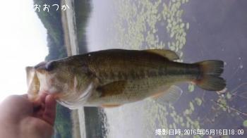 �֥�å��Х�