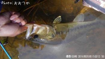 �֥�å��Х�