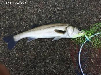 �����Х�