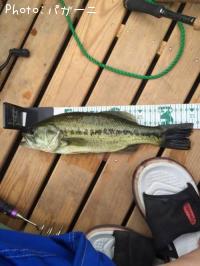 �֥�å��Х�