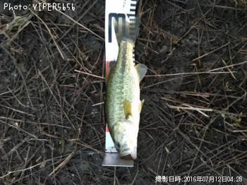 �֥�å��Х�