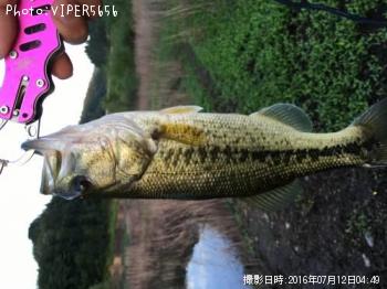 ¥Ö¥é¥Ã¥¯¥Ð¥¹