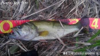 �֥�å��Х�