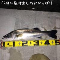 �����Х�