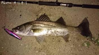 �����Х�