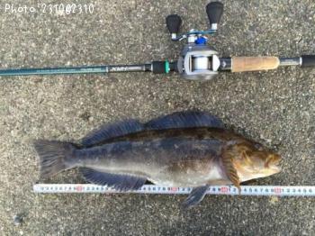 �����ʥ�