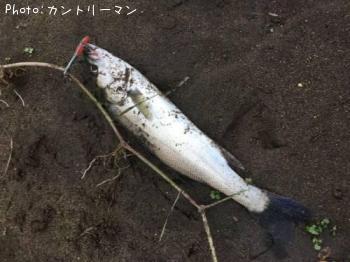 �����Х�