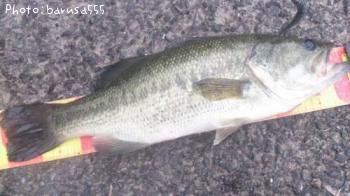 �֥�å��Х�