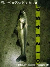 �����Х�