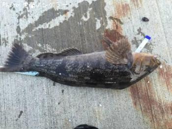 �����ʥ�