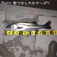 �����Х�