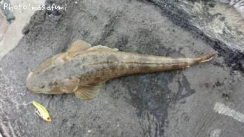 �ޥ���