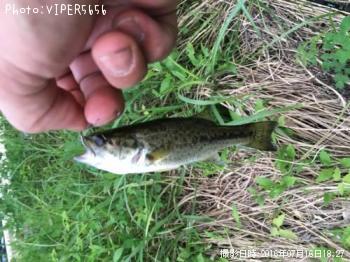 ¥Ö¥é¥Ã¥¯¥Ð¥¹