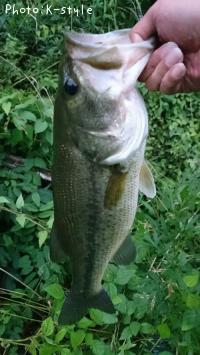 ¥Ö¥é¥Ã¥¯¥Ð¥¹