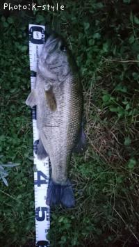 ¥Ö¥é¥Ã¥¯¥Ð¥¹