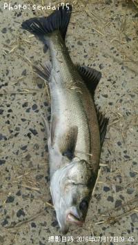 �����Х�