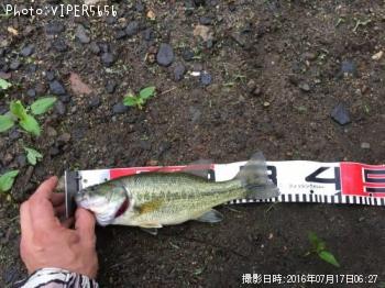 �֥�å��Х�