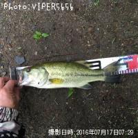 ¥Ö¥é¥Ã¥¯¥Ð¥¹