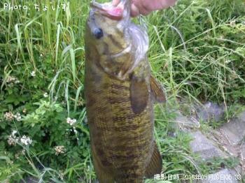 ���⡼��ޥ���