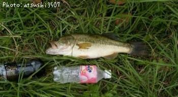 �֥�å��Х�