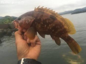 �����ϥ�