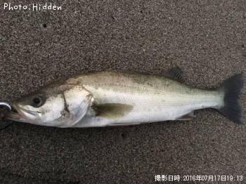 �����Х�