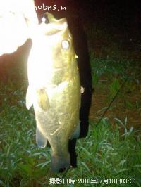 ¥Ö¥é¥Ã¥¯¥Ð¥¹