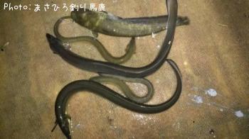 ���ʥ����ʥޥ�