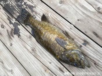 �֥�å��Х�