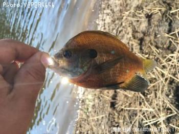 �֥롼����