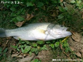 ¥Ö¥é¥Ã¥¯¥Ð¥¹