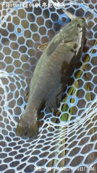 ���⡼��ޥ���