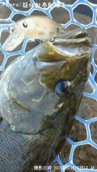 ���⡼��ޥ���