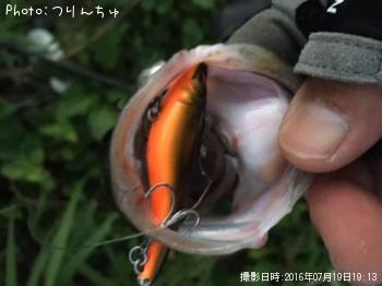 �����Х�