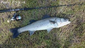 �����Х�