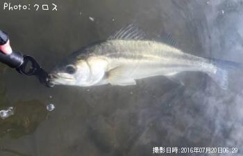 �����Х�