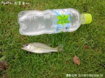 �֥�å��Х�