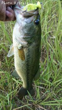 �֥�å��Х�