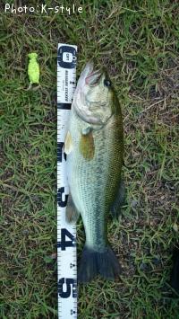 �֥�å��Х�