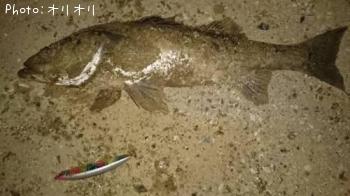 �����Х�