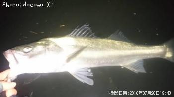 �����Х�