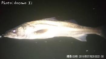 �����Х�