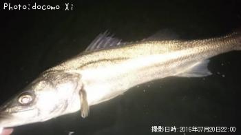 �����Х�