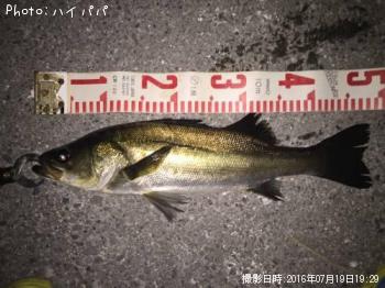 �����Х�