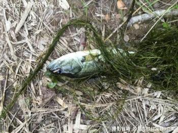 �֥�å��Х�