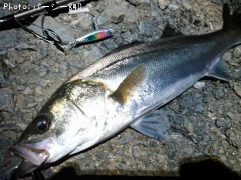 �����Х�