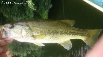 �֥�å��Х�