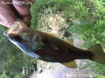 ¥Ö¥é¥Ã¥¯¥Ð¥¹